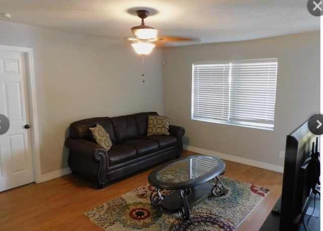 2434 Oleander Dr, Pasadena, TX 77503 - photo 3