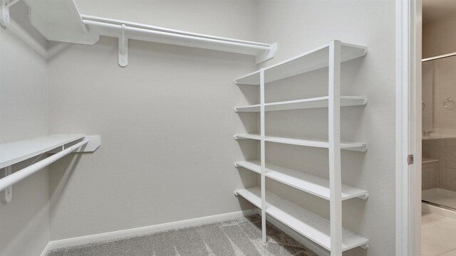9423 Towne Lake Pkwy, Cypress, TX 77433 - view of spacious closet