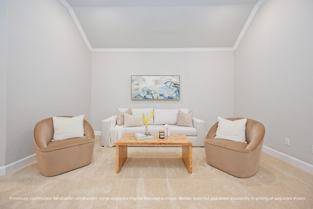 833 Fisher St Unit E, Houston, TX 77018 - living room with ornamental molding, baseboards, carpet, and lofted ceiling