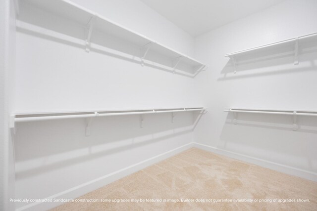 833 Fisher St Unit E, Houston, TX 77018 - spacious closet with carpet