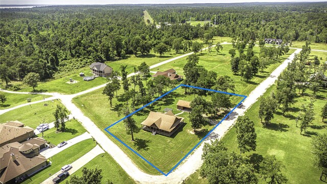 276 Evening Shade, Onalaska, TX 77360 - photo 3