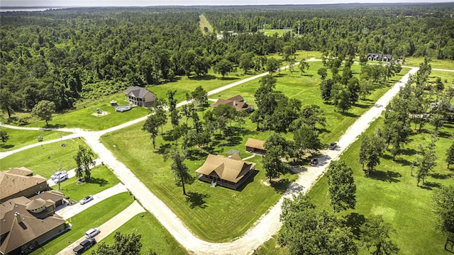 276 Evening Shade, Onalaska, TX 77360 - photo 29