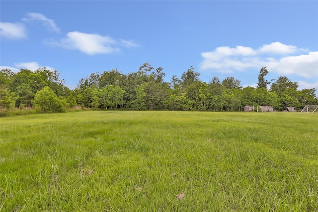 332 County Road 3567, Cleveland, TX 77327 - view of yard featuring a wooded view