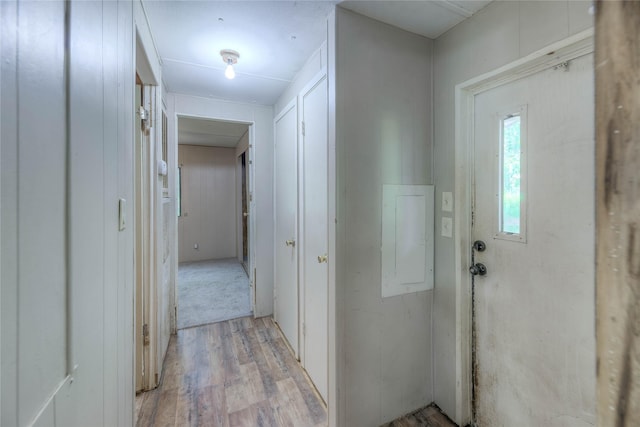 330 Oak Tree Dr, Point Blank, TX 77364 - hall featuring light wood-style floors