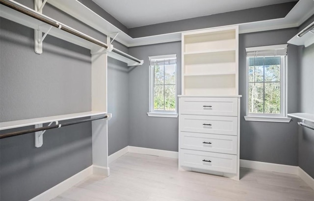 148 Wagon Pass Dr, Huntsville, TX 77340 - walk in closet featuring light wood-style floors