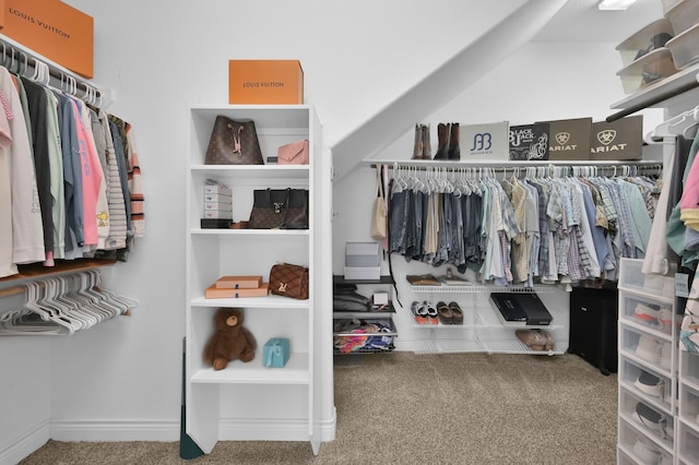 116 Owen Ridge Dr, Conroe, TX 77384 - spacious closet featuring carpet
