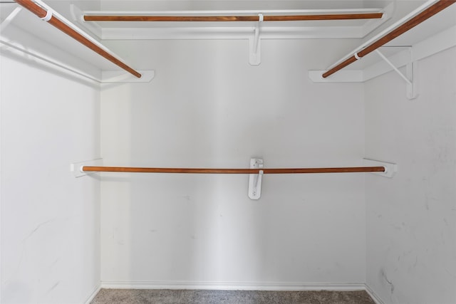 12411 Narcissus View Trl, Houston, TX 77089 - photo 14