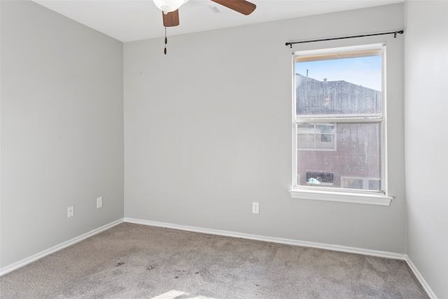 12411 Narcissus View Trl, Houston, TX 77089 - photo 17