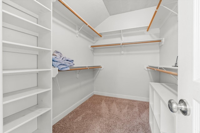 4313 Windswept Dr, Montgomery, TX 77356 - spacious closet with carpet flooring and vaulted ceiling