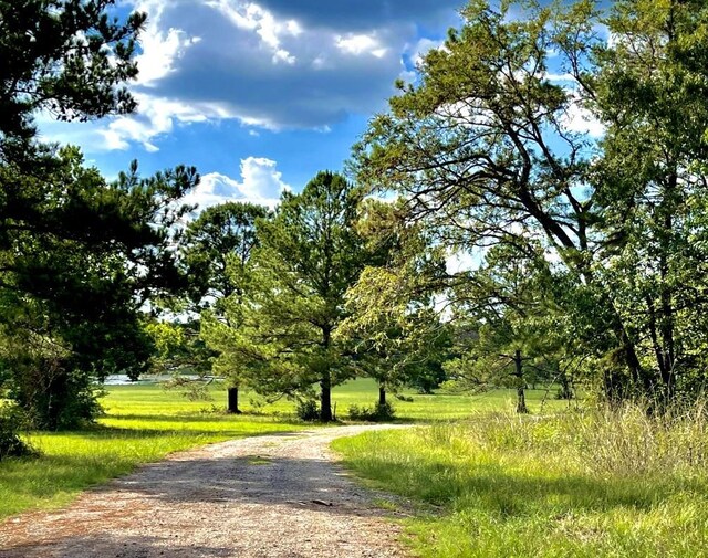 12050 High Branch Way, Willis, TX 77378 - photo 4