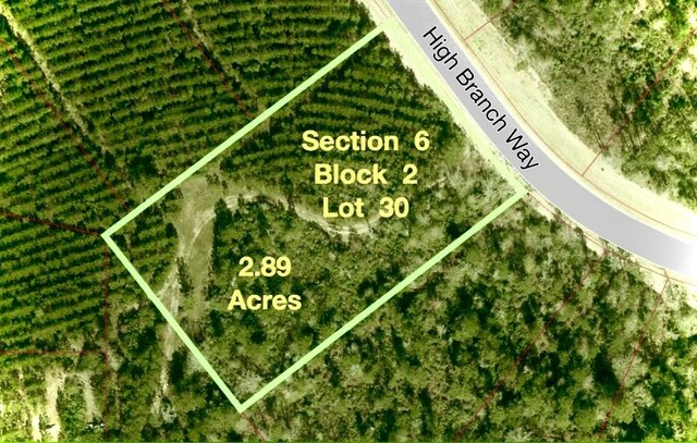 12050 High Branch Way, Willis, TX 77378 - photo 10