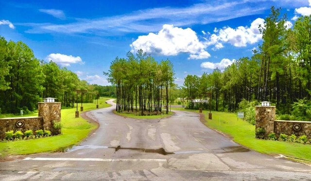 12050 High Branch Way, Willis, TX 77378 - photo 2