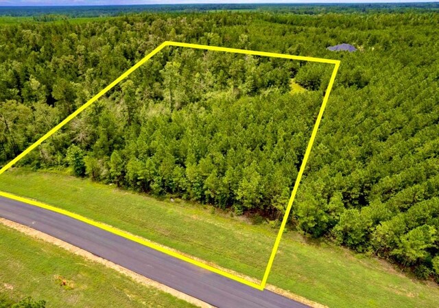 12050 High Branch Way, Willis, TX 77378 - photo 9