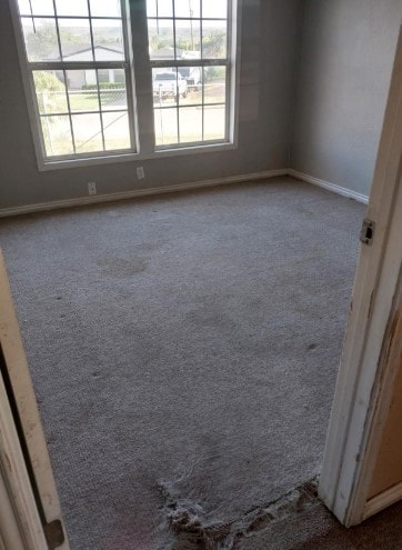 1311 Lamar Ave, Big Spring, TX 79720 - unfurnished room with carpet, healthy amount of natural light, and baseboards