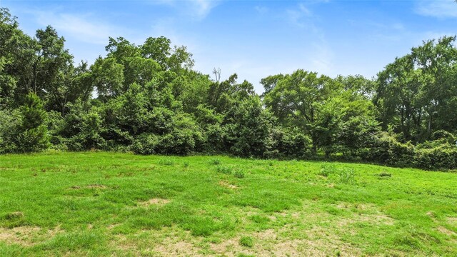 176 Didlake Rd Unit A, Huntsville, TX 77340 - photo 24