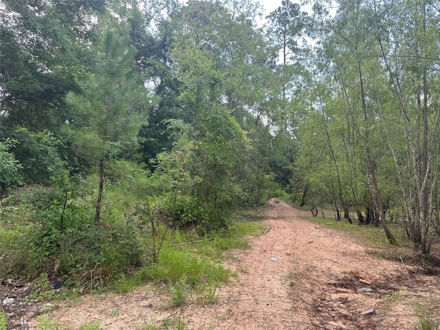 0 Foxfire Dr, Plantersville, TX 77363 - photo 5
