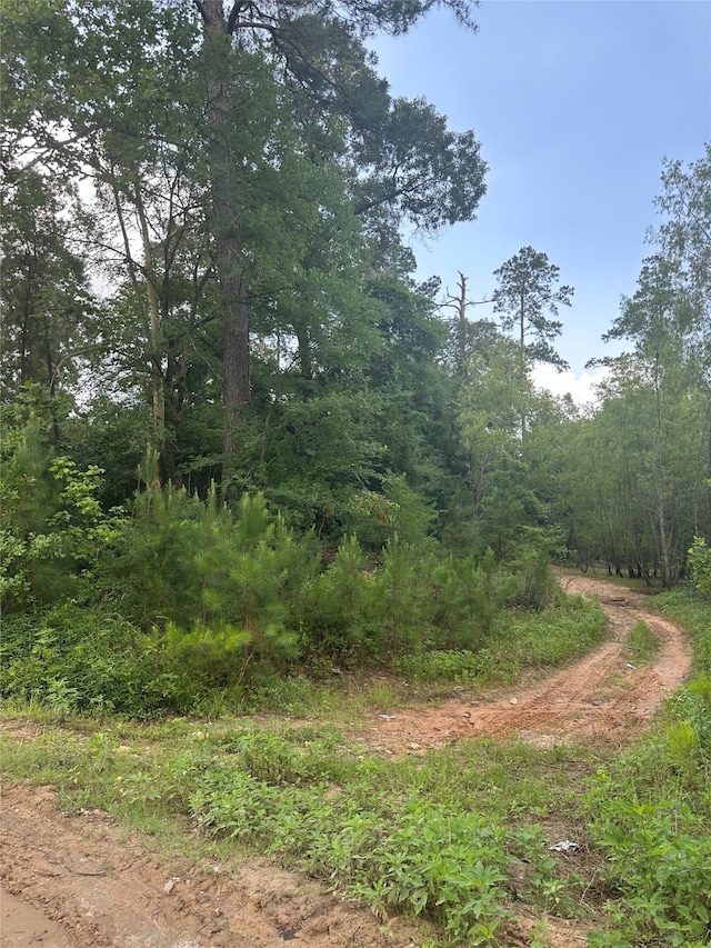 0 Foxfire Dr, Plantersville, TX 77363 - photo 6