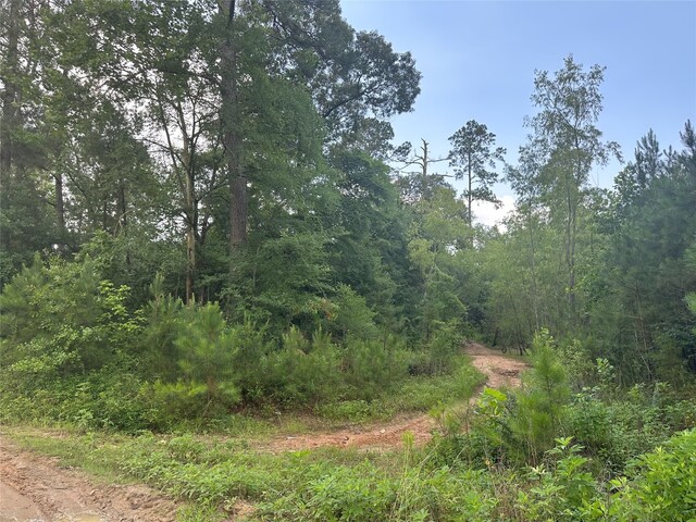 0 Foxfire Dr, Plantersville, TX 77363 - photo 7