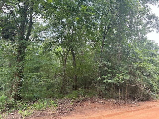 0 Foxfire Dr, Plantersville, TX 77363 - photo 1