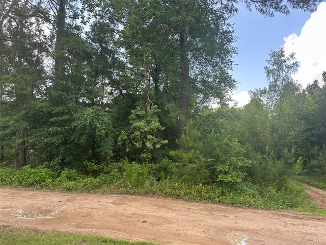 0 Foxfire Dr, Plantersville, TX 77363 - photo 2