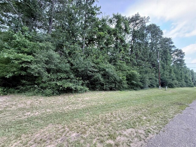 207 Creekside, Magnolia, TX 77354 - photo 3
