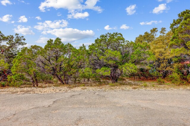 210 Barber Dr, Wimberley, TX 78676 - photo 7