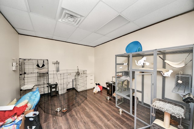 14425 Huffmeister Rd, Cypress, TX 77429