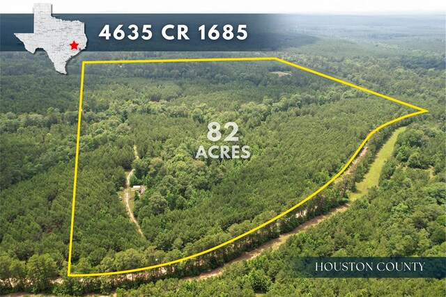 4635 County Road 1685, Grapeland, TX 75844 - photo 1