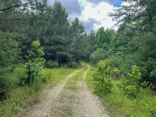 4635 County Road 1685, Grapeland, TX 75844 - photo 8