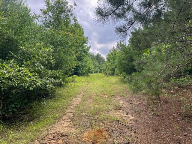 4635 County Road 1685, Grapeland, TX 75844 - photo 9