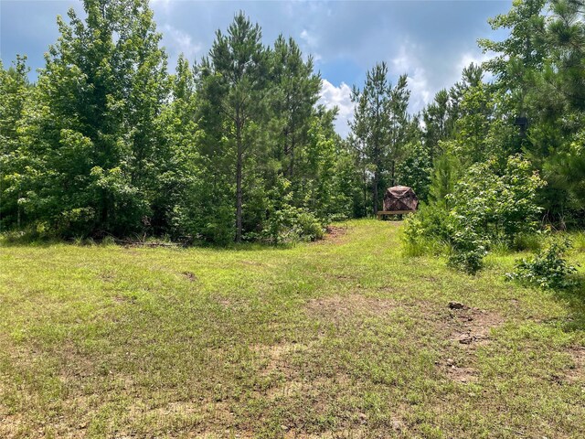 4635 County Road 1685, Grapeland, TX 75844 - photo 6
