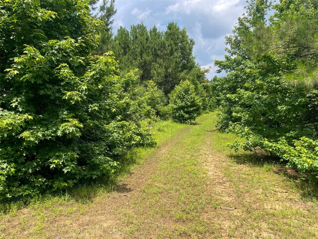 4635 County Road 1685, Grapeland, TX 75844 - photo 7