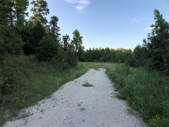 4635 County Road 1685, Grapeland, TX 75844 - photo 40