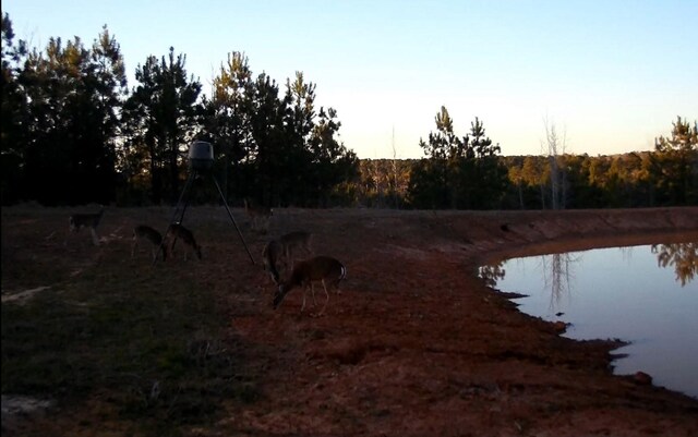 4635 County Road 1685, Grapeland, TX 75844 - photo 39