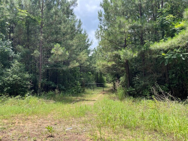4635 County Road 1685, Grapeland, TX 75844 - photo 2