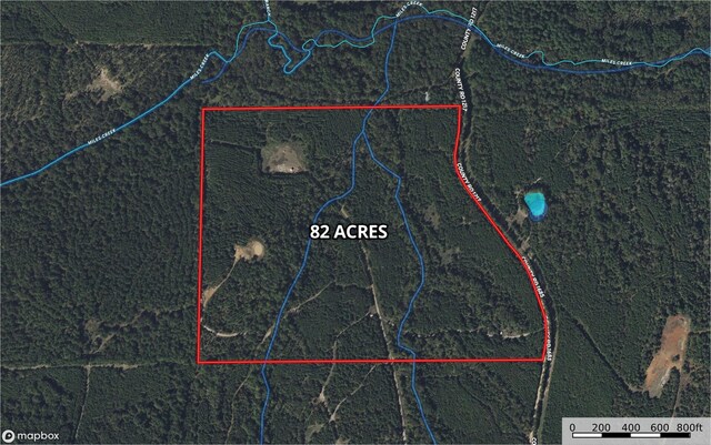 4635 County Road 1685, Grapeland, TX 75844 - photo 41