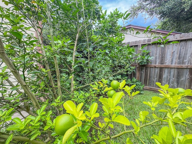 15723 Pfeiffer Dr, Houston, TX 77082 - photo 26