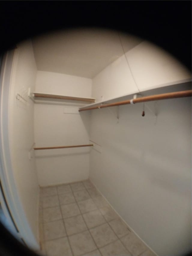 2450 Edgedale Dr, Missouri City, TX 77489 - view of spacious closet