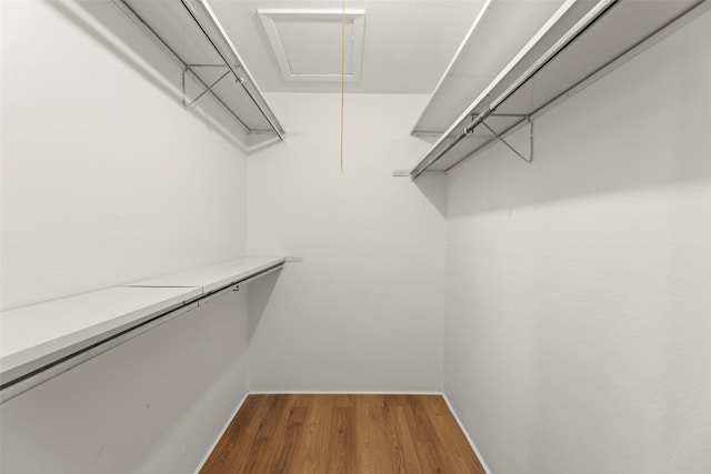 8101 Amelia Rd Unit 106, Houston, TX 77055 - walk in closet with attic access and wood finished floors