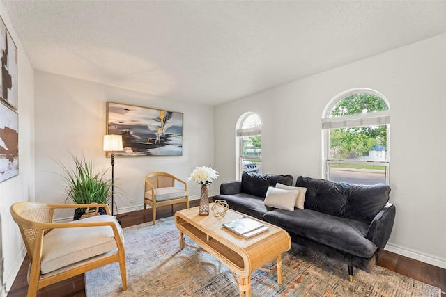 8101 Amelia Rd Unit 106, Houston, TX 77055 - living room featuring baseboards, wood finished floors, and a textured ceiling