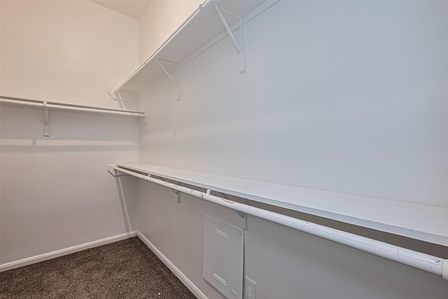 19826 Imperial Stone Dr, Houston, TX 77073 - walk in closet with dark colored carpet