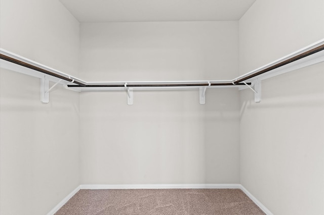 761 Ocean Palms Dr, Katy, TX 77493 - spacious closet with carpet flooring