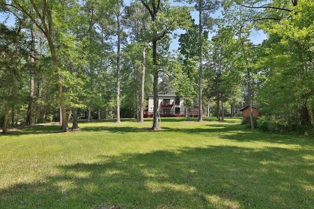 233 Linwood, Conroe, TX 77304 - photo 46