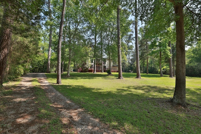 233 Linwood, Conroe, TX 77304 - photo 47
