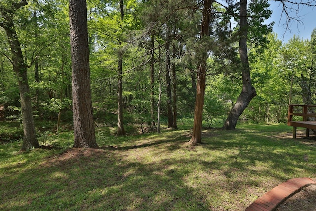 233 Linwood, Conroe, TX 77304 - photo 48