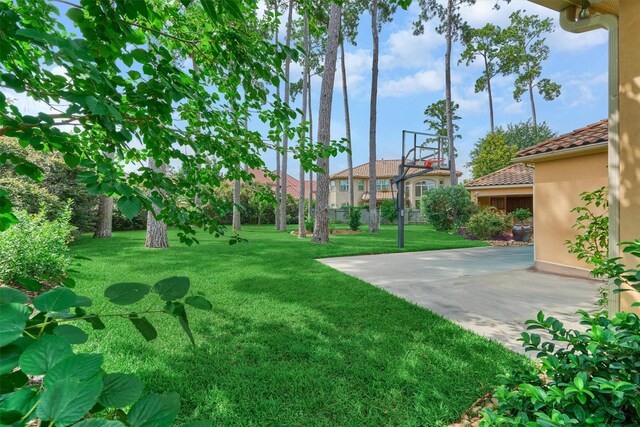 9814 Cape Breeze Dr, Houston, TX 77070 - view of grassy yard