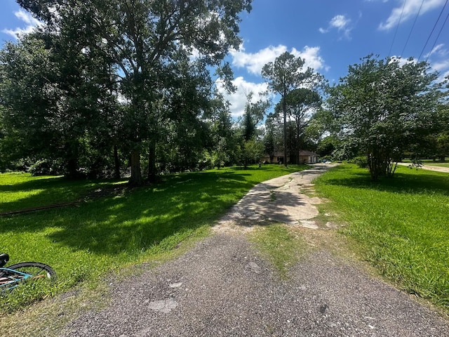1225 County Road 878b, Sweeny, TX 77480 - view of road