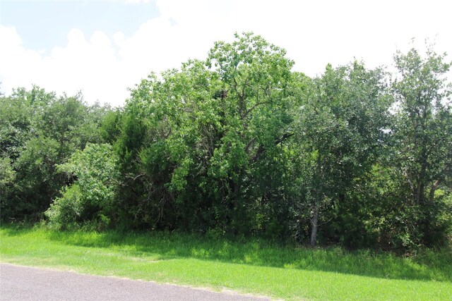 0 Neirbo St, Anahuac, TX 77514