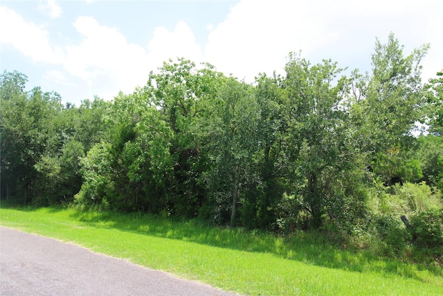 0 Neirbo St, Anahuac, TX 77514