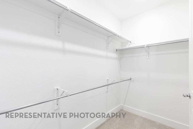 27019 Golden Isle Ln, Katy, TX 77493 - spacious closet featuring carpet flooring